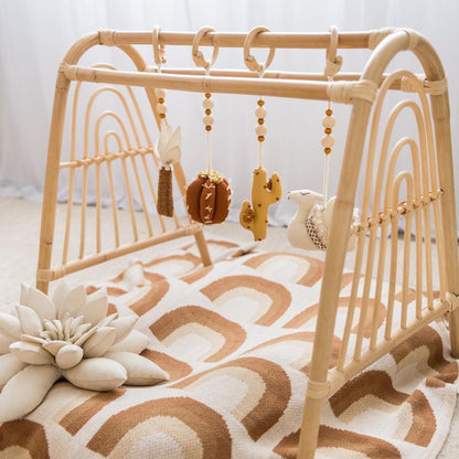 Sunshine Baby Rattan Playgym