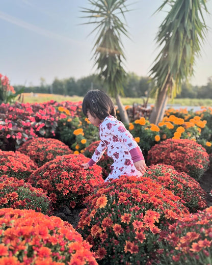 Crimson Whisper Hydrangeas Bamboo Footies