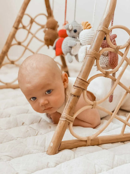 Boho Rattan Baby Playgym